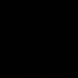 Meet your Posher, Heejun